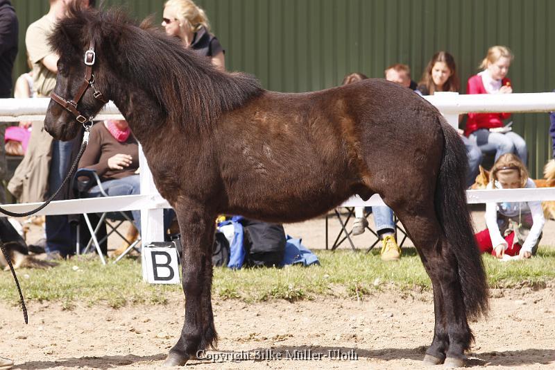 Alvar fra Stora Hofi (9).JPG